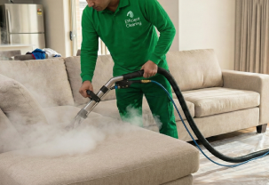 Furniture Cleaning